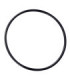 O-ring klosz BigBlue