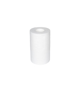 Wkład piankowy 5" 1 μm Aquafilter FCPS1-5