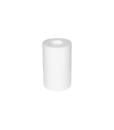 Wkład piankowy 5" 1 μm Aquafilter FCPS1-5